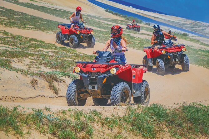NEW!! Combo ATV & Horseback Ride. Beach & Desert. Tequila Tasting - What to Bring and How to Prepare