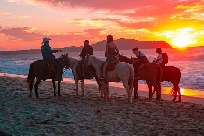 NEW!! Combo ATV & Horseback Ride. Beach & Desert. Tequila Tasting - Who Will Enjoy This Cabo Adventure Most