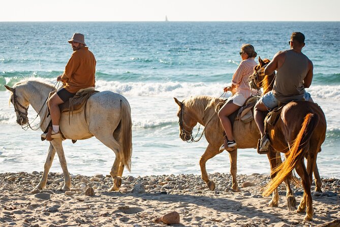 NEW!! Combo ATV & Horseback Ride. Beach & Desert. Tequila Tasting - My Take: Book It If You Want Variety in a Short Window