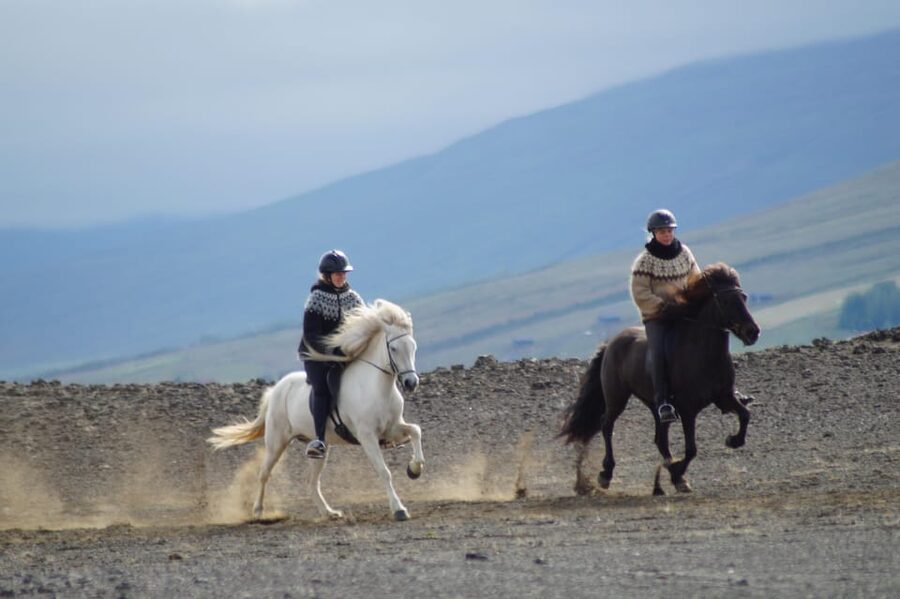North Iceland: Horseback Riding Tour - A two-hour ride with more than one kind of Iceland