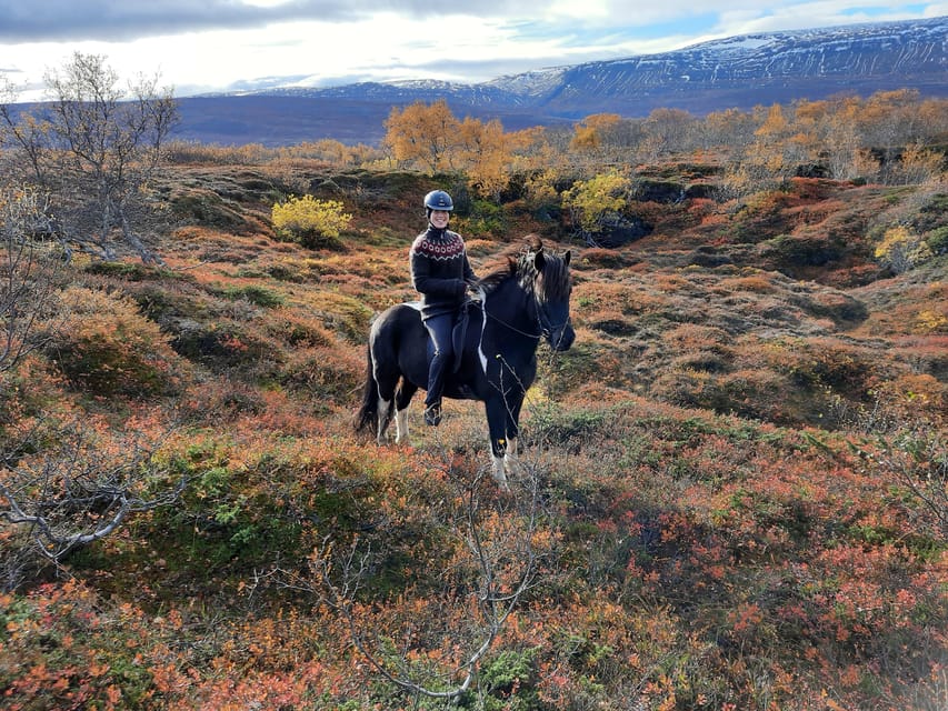 North Iceland: Horseback Riding Tour - Volcanic rocks, moss, and black sand
