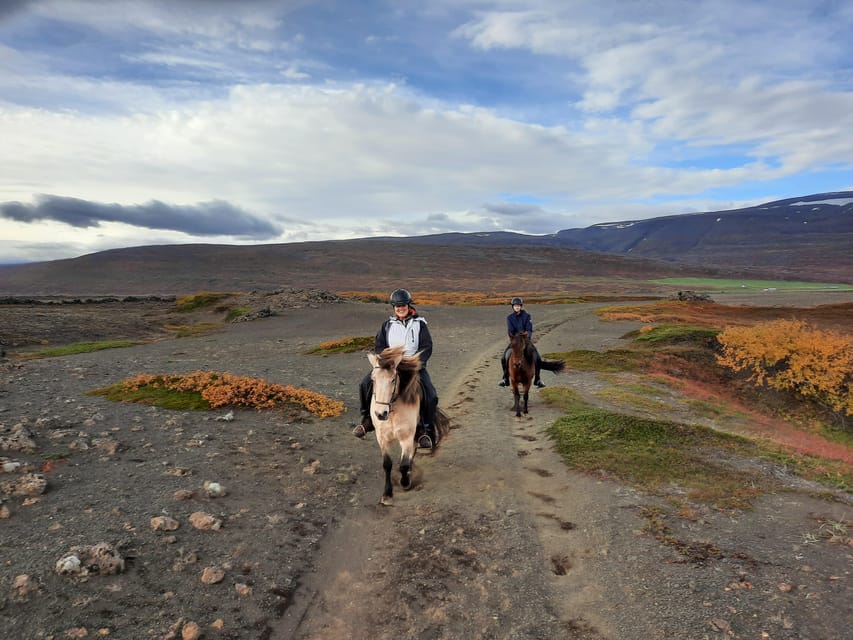 North Iceland: Horseback Riding Tour - What the $141 price gives you