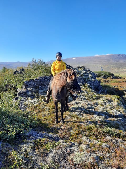 North Iceland: Horseback Riding Tour - Who should book this ride