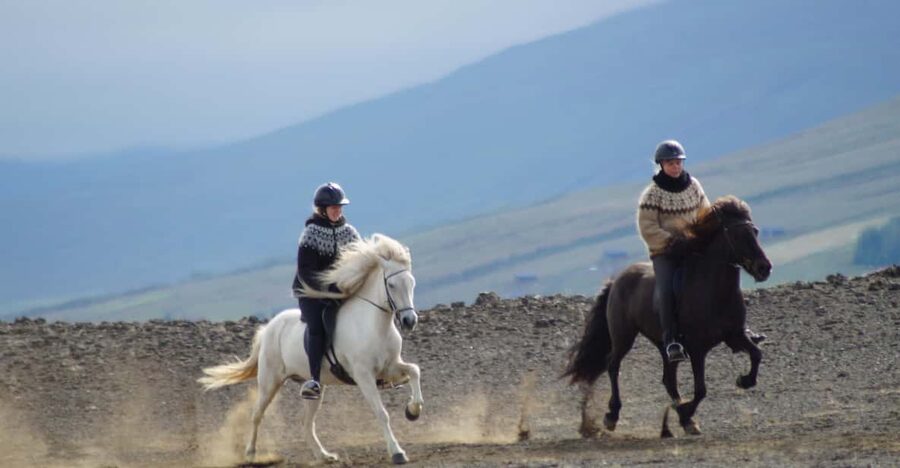 North Iceland: Horseback Riding Tour - Meeting the Icelandic horse