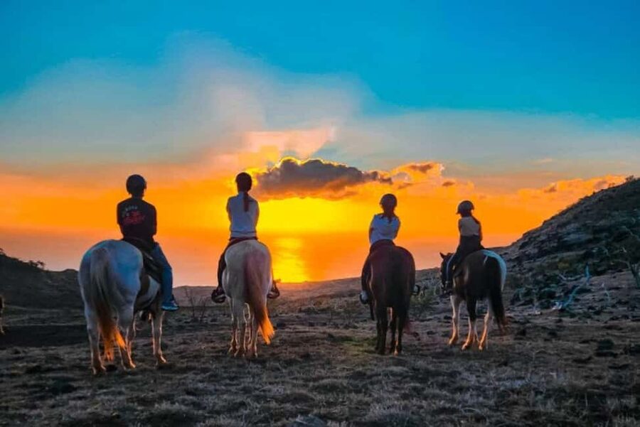 Oahu: Horseback Riding Sunshine or Sunset Tour - Key Points to Know Before You Saddle Up