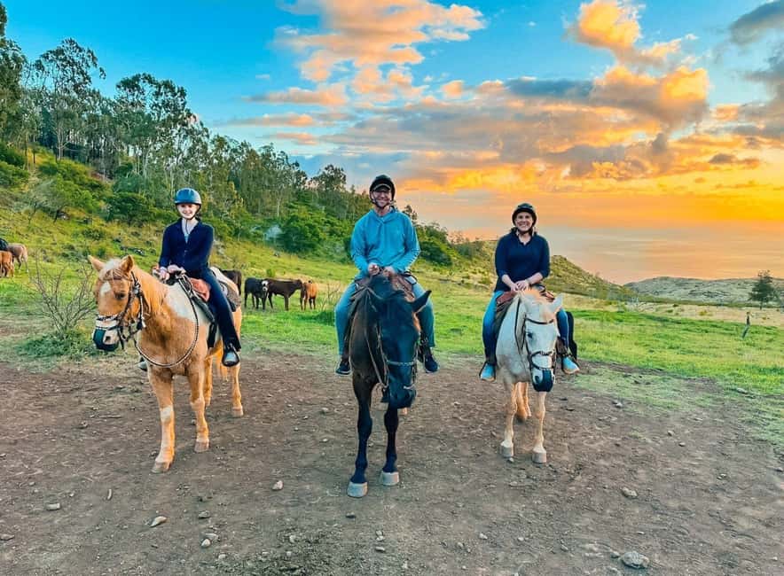 Oahu: Horseback Riding Sunshine or Sunset Tour - Following the Southern and Western Coastline