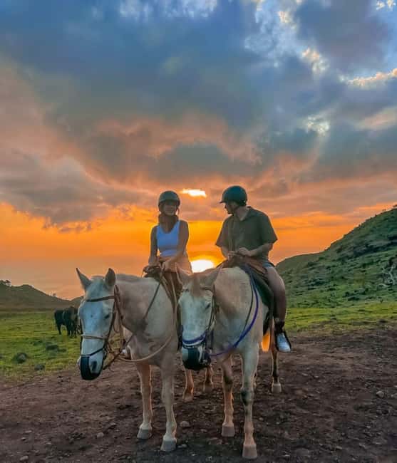 Oahu: Horseback Riding Sunshine or Sunset Tour - What Riding a Polo Pony Feels Like