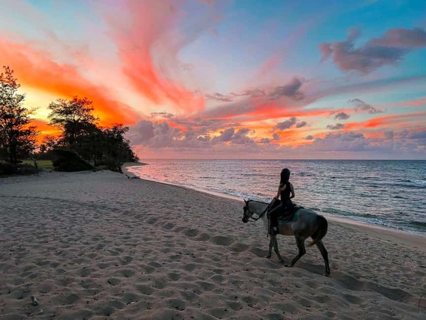 Oahu: Horseback Riding Tour on the North Shore - A North Shore ride built around scenery