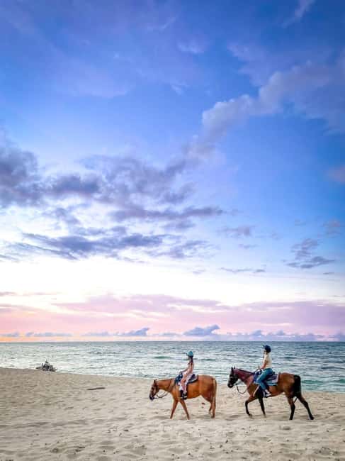 Oahu: Horseback Riding Tour on the North Shore - Meeting your horse and getting ready