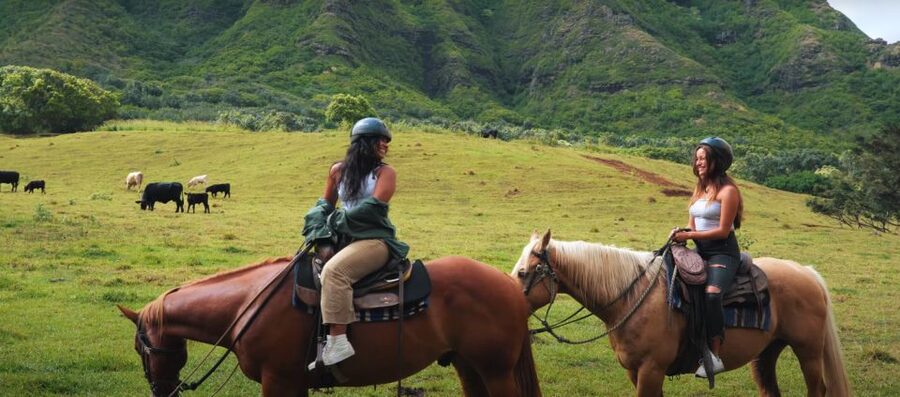 Oahu: Kualoa Hills and Valleys Horseback Riding Tour - Who will enjoy this pace, and who will not
