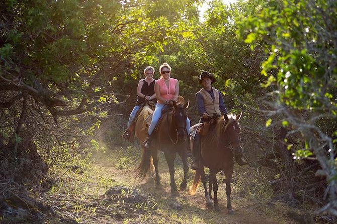 Oahu Sunset Horseback Ride - Key points to know before you book