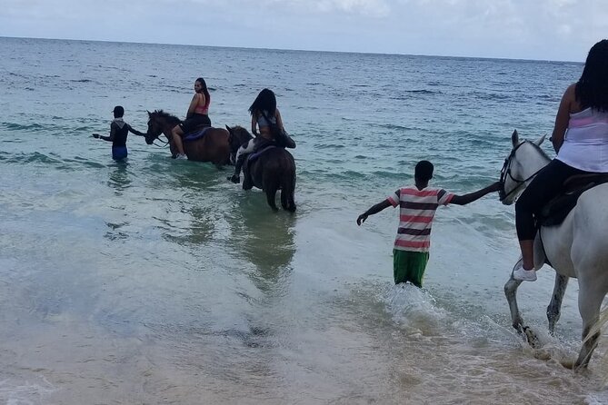 Ocho Rios Private Horse Riding, River Tubing and Rafting[Entry fee not included] - Bamboo rafting on the White River