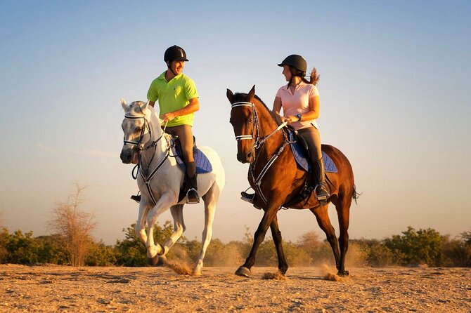 One Hour Desert Horseback Riding Adventure From Sharm El Sheikh - Key points to know before you book