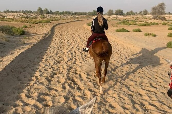 One Hour Desert Horseback Riding Adventure From Sharm El Sheikh - Leaving Sharm El Sheikh for the desert