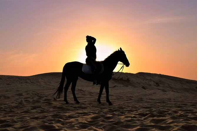 One Hour Desert Horseback Riding Adventure From Sharm El Sheikh - What the one-hour ride is really worth
