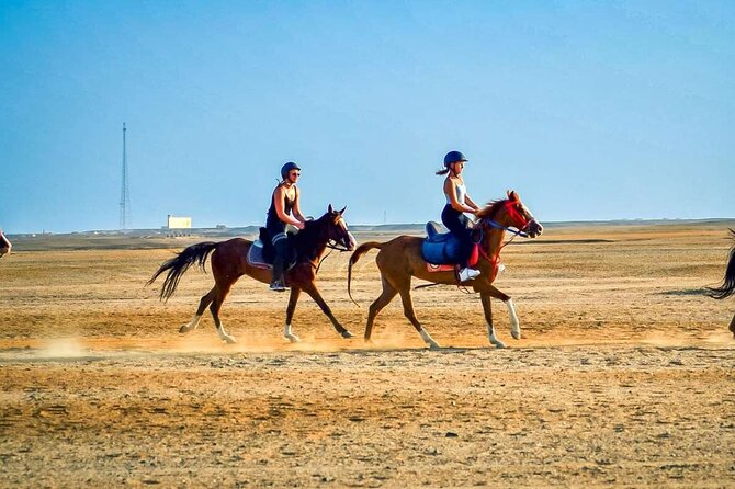 One Hour Desert Horseback Riding Adventure From Sharm El Sheikh - A good fit for first-time riders