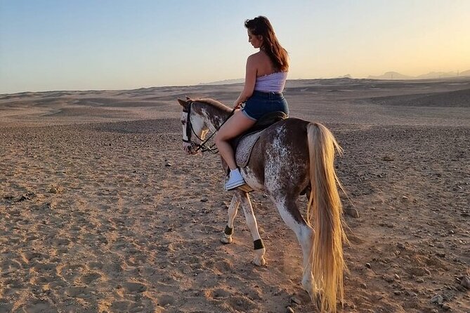 One Hour Desert Horseback Riding Adventure From Sharm El Sheikh - Safety, comfort, and horse care