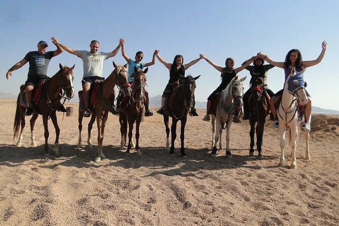 One Hour Desert Horseback Riding Adventure From Sharm El Sheikh - The experience at its most authentic