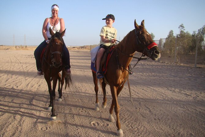 One Hour Desert Horseback Riding Adventure From Sharm El Sheikh - Meeting the horses and getting ready