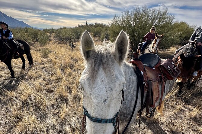 One Hour Guided Horseback Ride - Practical preparation before you book
