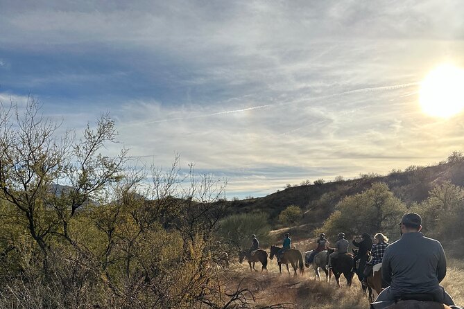 One Hour Guided Horseback Ride - Meeting the horses and getting ready