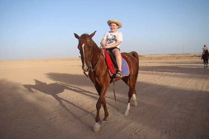 One Hour Horse or Camel Riding with Transfer- Sharm El-Sheikh - A Simple Ride Beyond Sharm El Sheikh