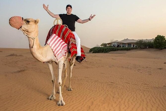 One Hour Horse or Camel Riding with Transfer- Sharm El-Sheikh - Returning to the Stables