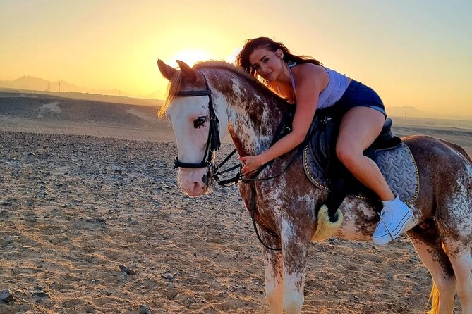 One Hour Horse or Camel Riding with Transfer- Sharm El-Sheikh - What the $28 Price Really Includes