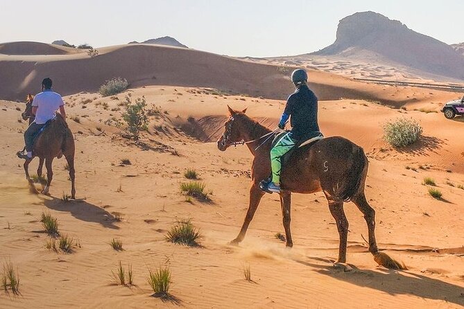 One Hour Horse or Camel Riding with Transfer- Sharm El-Sheikh - Who Will Enjoy This Most