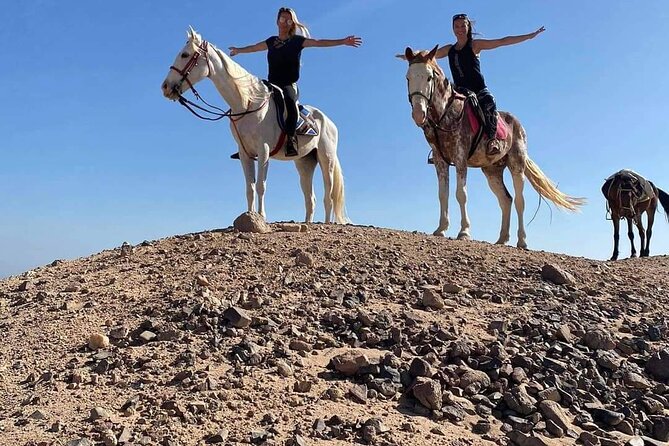 One Hour Horse or Camel Riding with Transfer- Sharm El-Sheikh - Booking Tips for a Smoother Afternoon
