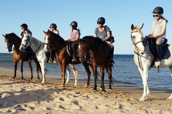 One Hour Horse Riding Beach with Transfer from Hurghada - Key points to know before booking