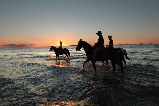 One Hour Horse Riding Beach with Transfer from Hurghada - One hour across sand and desert trails