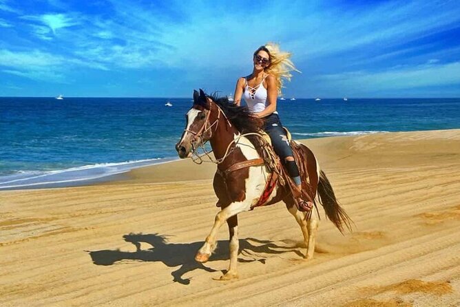 One Hour Horse Riding Beach with Transfer from Hurghada - Red Sea views without a full-day commitment