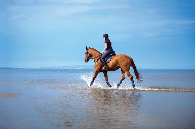 One Hour Horse Riding Beach with Transfer from Hurghada - Who should book this experience?