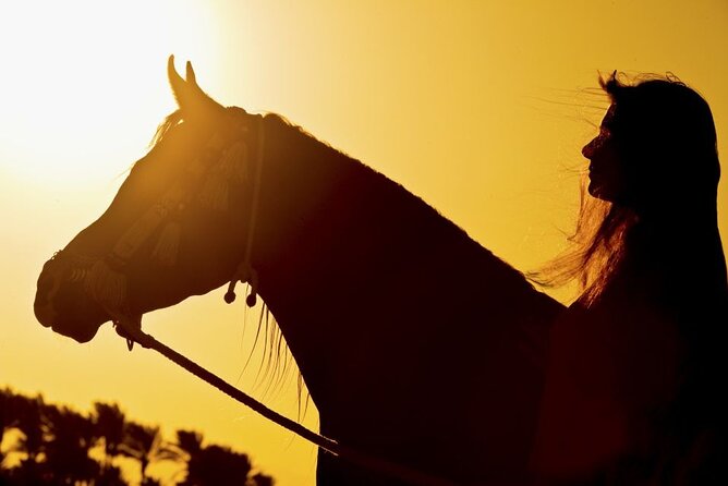 One Hour Horse Riding or Camel Riding At Amazing Desert in Hurghada - Choosing between a horse and a camel