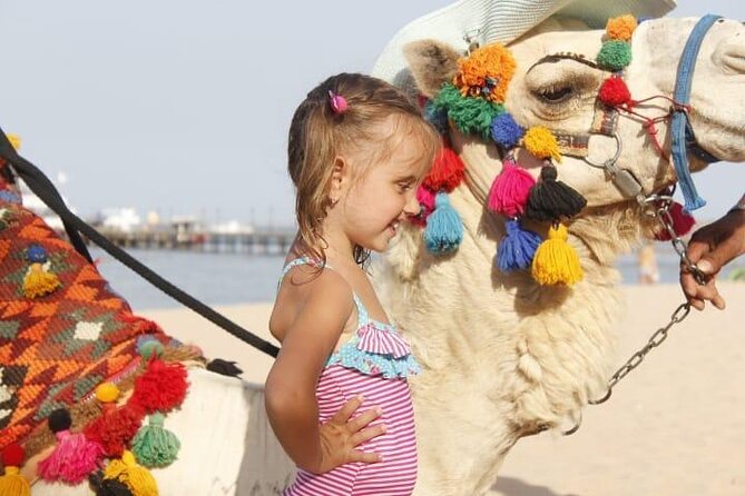 One Hour Horse Riding or Camel Riding At Amazing Desert in Hurghada - Pickup zones and the real cost