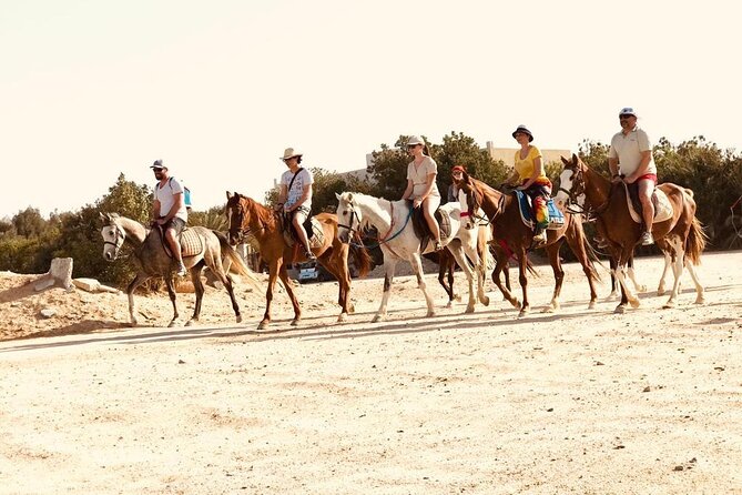 One Hour Horse Riding or Camel Riding At Amazing Desert in Hurghada - What happens before you ride