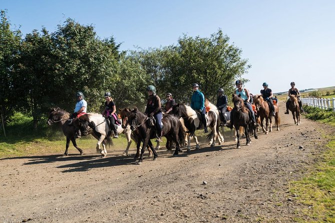One-Hour Horseback Riding Tour in the Icelandic Countryside - Starting at Hótel Eldhestar in Ölfus