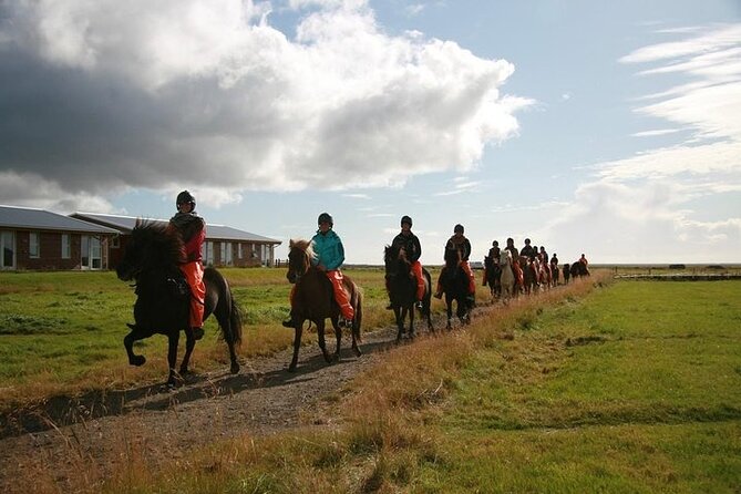 One-Hour Horseback Riding Tour in the Icelandic Countryside - Riding the farm paths and meadows