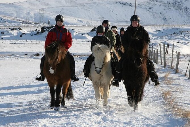 One-Hour Horseback Riding Tour in the Icelandic Countryside - Why the one-hour length can be a real advantage