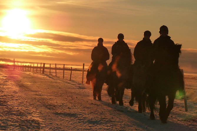 One-Hour Horseback Riding Tour in the Icelandic Countryside - The introduction to the Icelandic horse
