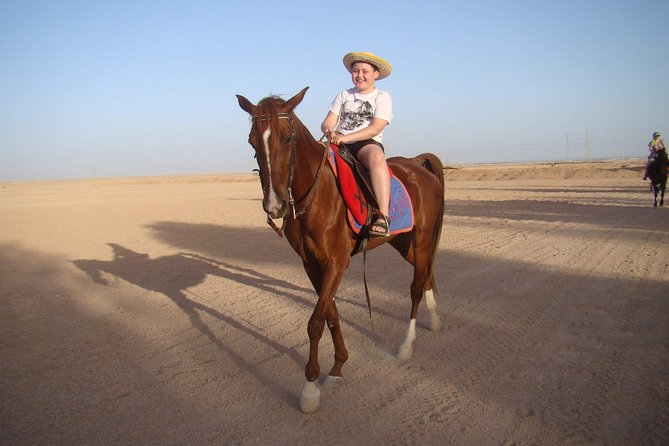 One Hour Horseback Riding Trip with Transfer - Sharm El Sheikh - What the $12 Sharm El Sheikh ride really offers