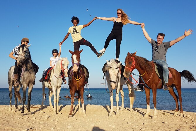 One Hour Horseback Riding Trip with Transfer - Sharm El Sheikh - The Bedouin-style hut stop and extra spending