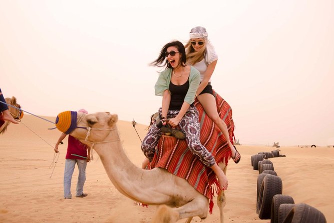 One Hour Horseback Riding Trip with Transfer - Sharm El Sheikh - Who will get the most from this experience