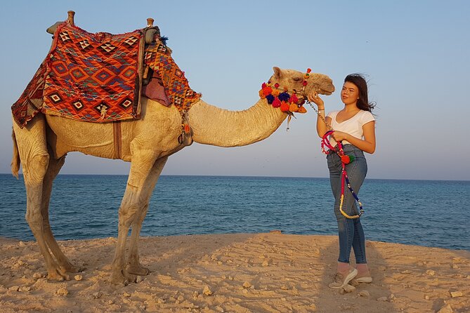 One Hour Horseback Riding Trip with Transfer - Sharm El Sheikh - What to bring and how to plan the afternoon