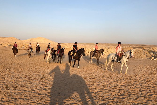 One Hour Horseback Riding Trip with Transfer - Sharm El Sheikh - Is this horseback trip good value?