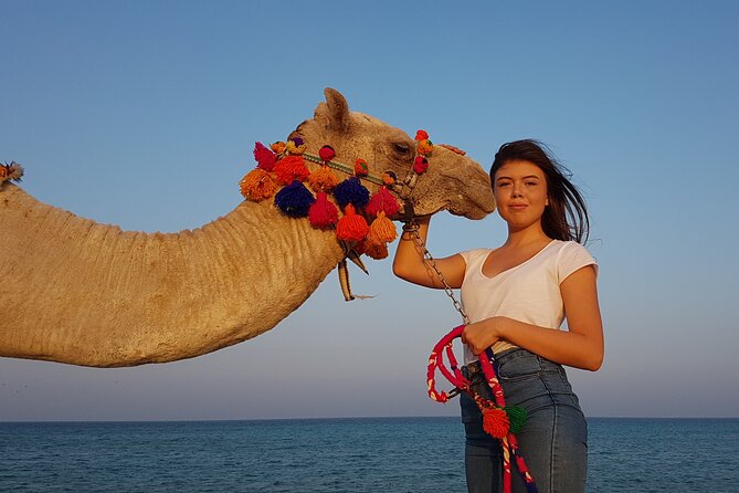 One Hour Horseback Riding Trip with Transfer - Sharm El Sheikh - Choosing a horse and receiving the safety briefing