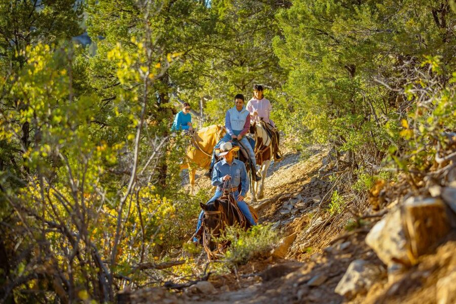 Orderville: Checkerboard Evening Shadow Horseback Ride - Riding out from Zion Ponderosa Ranch Resort