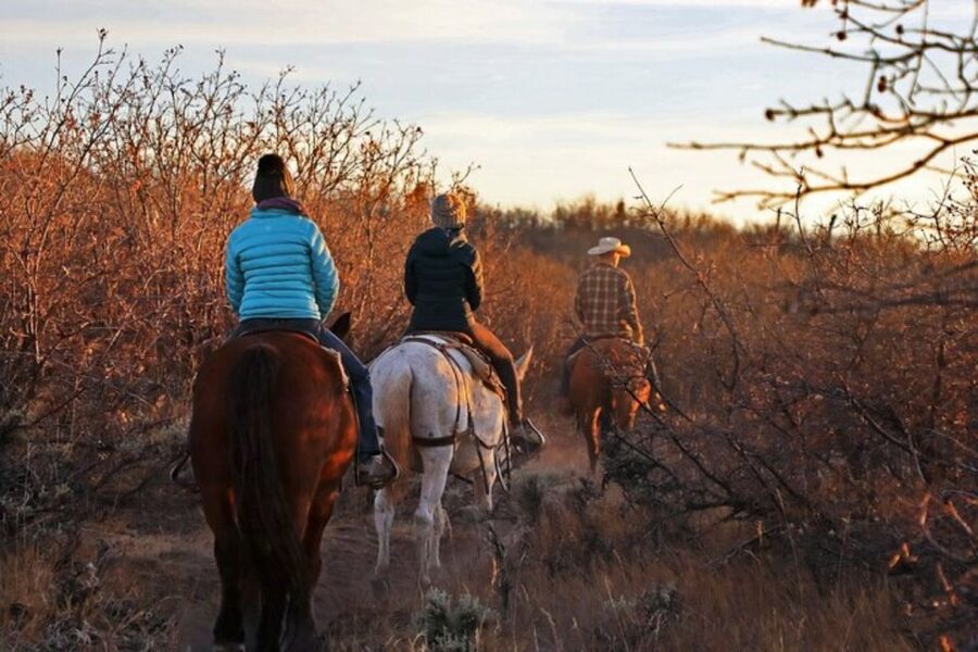 Orderville: Checkerboard Evening Shadow Horseback Ride - How the evening light changes the ride
