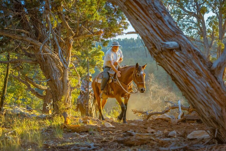Orderville: Checkerboard Evening Shadow Horseback Ride - What the guides add to the experience